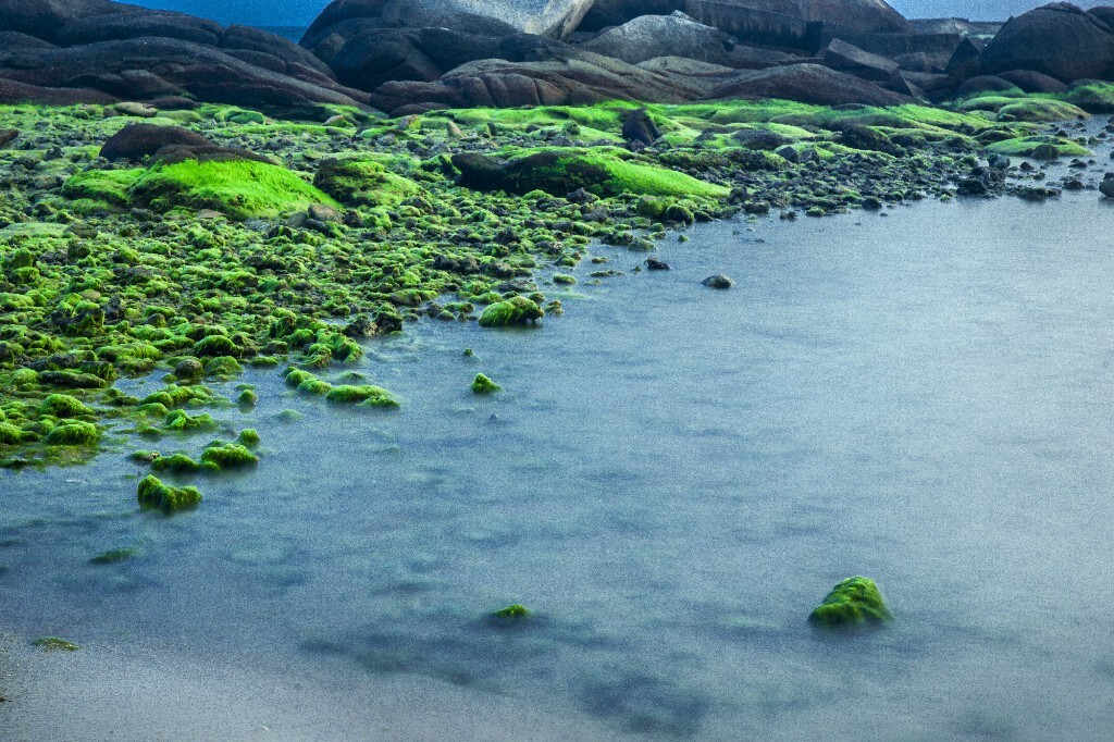 我站在岛屿凝视，此刻的海洋沉默不语