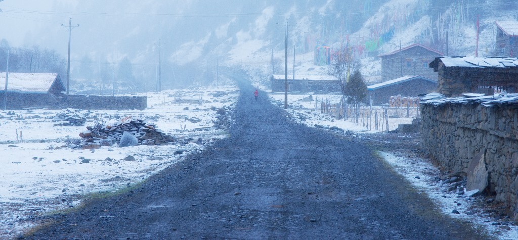 大雪归途