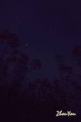 DSC00036.jpg