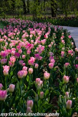 DSC00815.jpg