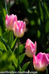 DSC00821.jpg