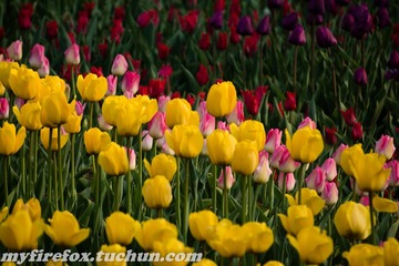 DSC00883.jpg