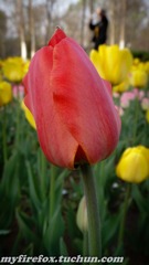 DSC03613.jpg
