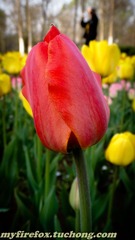 DSC03613.jpg