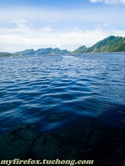 DSC03771.jpg