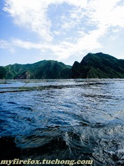 DSC03774.jpg