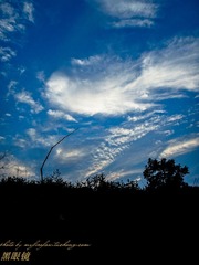 DSC03806.jpg