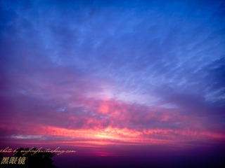 DSC03815.jpg