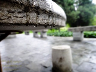 DSC03942.jpg
