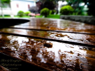 DSC03932.jpg