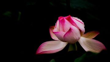 _DSC3258