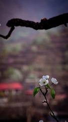 _DSC4042