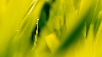_DSC4469