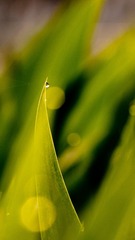 _DSC4472