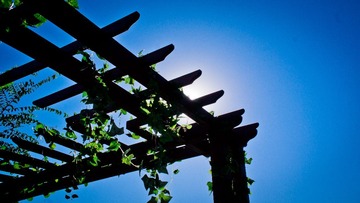 _DSC5477