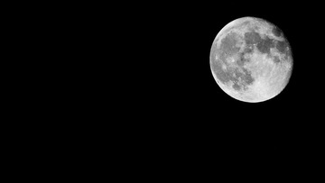 _DSC5525