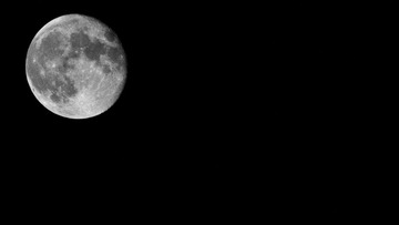 _DSC5529
