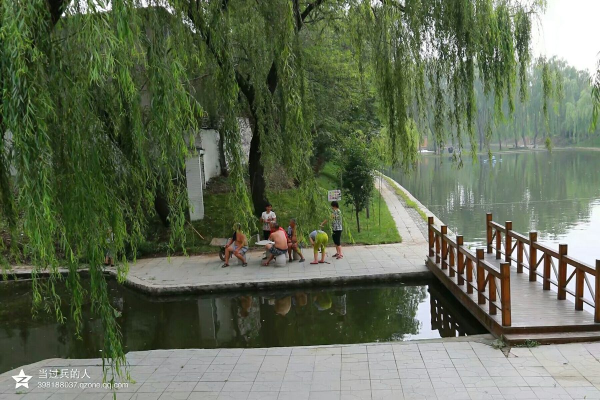 热,树荫下乘凉 - 当过兵的人 - 图虫