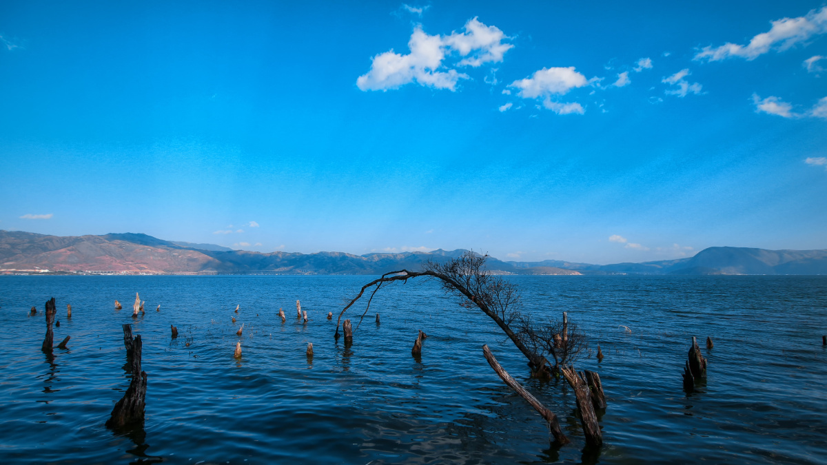 大理海舌生态公园