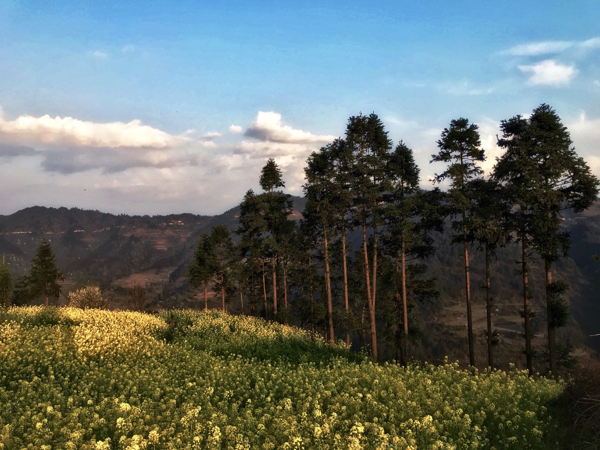 贵州黔东南剑河巫泥村,中国传统村落,一个苗族村寨,民族风情浓郁,原始