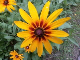 20130623_184931
