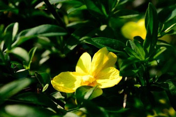 DSC_8979 -  - 