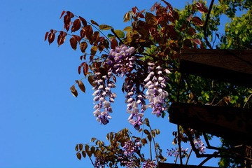 DSC_8994 - 