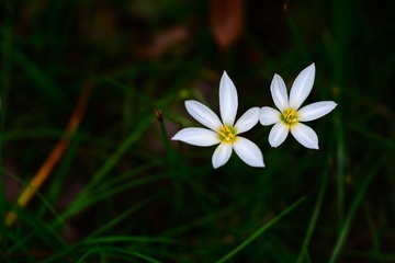 DSC_4538 - 