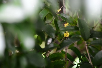 DSC_4545 - 