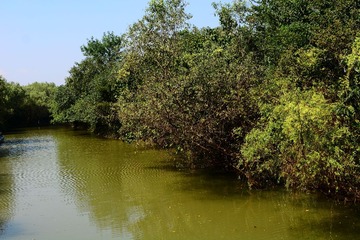 DSC_4994 - 