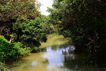 DSC_5034 - 