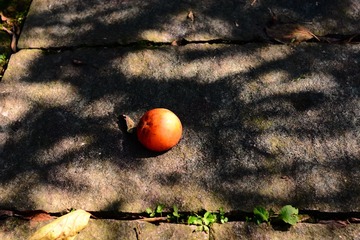 DSC_5037 - 