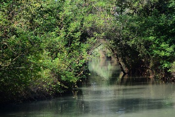 DSC_5064 - 