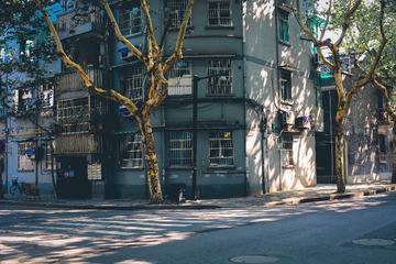 DSC_5435-1