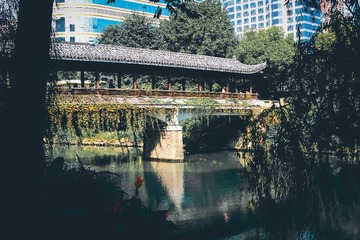 DSC_6055-1