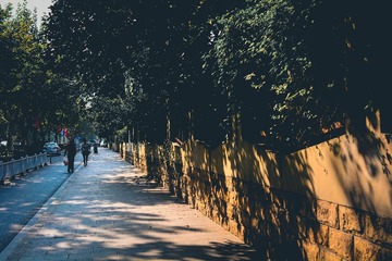 DSC_6095-1