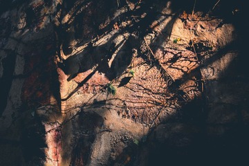 DSC_6233-1