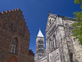 DSC_6552-1