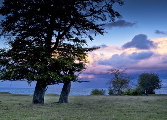 DSC_6608-1