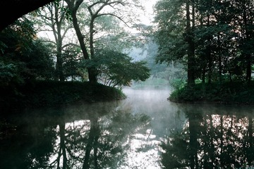 DSC_7201-1