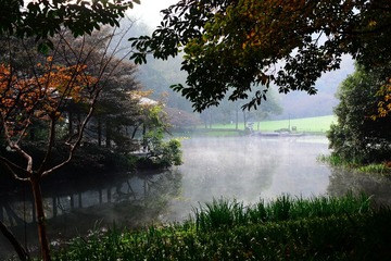 DSC_7217-1
