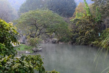 DSC_7237-1