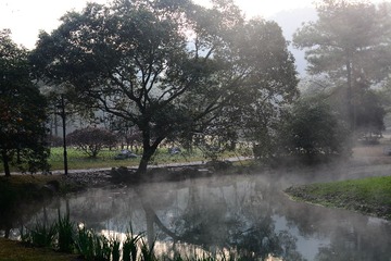 DSC_7259-1