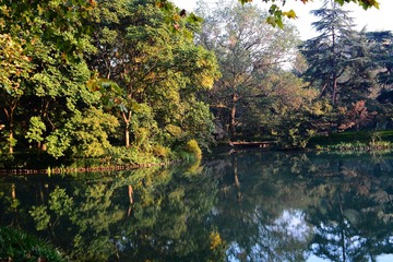 DSC_7282-1