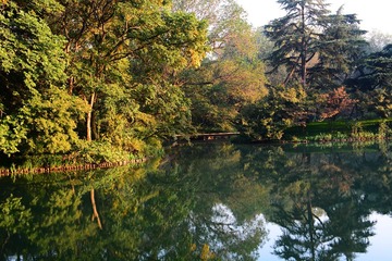 DSC_7285-1