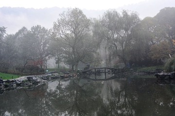 DSC_7717-1