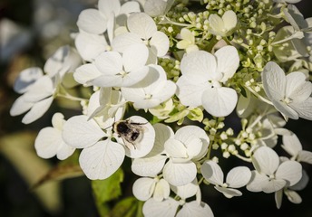DSC_7729-1