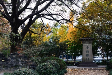 DSC_7849-1