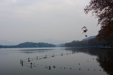 DSC_7876-1