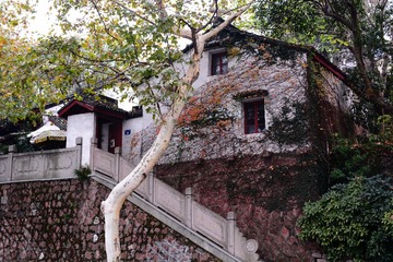 DSC_7882-1